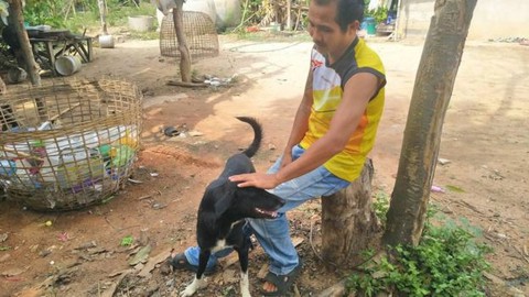 Chú chó 3 chân cứu sống bé trai sơ sinh bị ‘mẹ nhí’ 15 tuổi chôn sống - Ảnh 3. Chú chó 3 chân cứu sống bé trai sơ sinh bị ‘mẹ nhí’ 15 tuổi chôn sống - Ảnh 3.