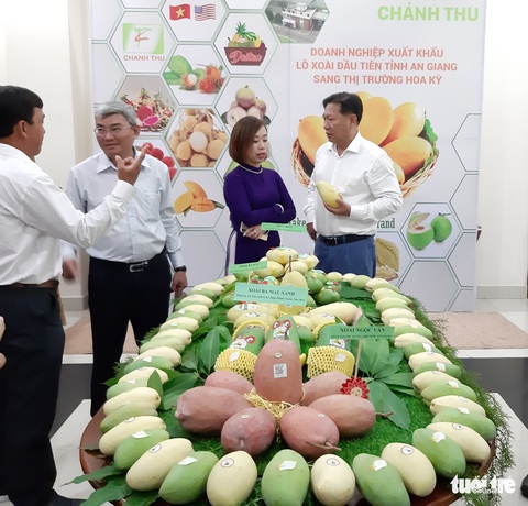 Thêm 1 tấn xoài từ An Giang qua Mỹ - Ảnh 1. Thêm 1 tấn xoài từ An Giang qua Mỹ - Ảnh 1.