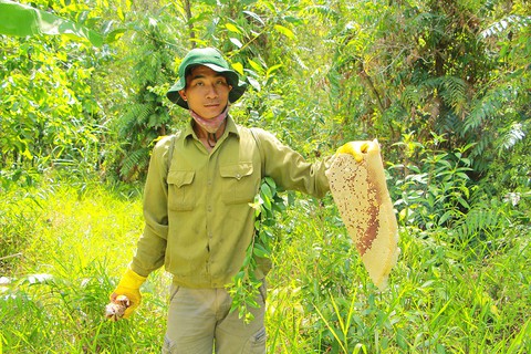 Hai lúa giữ rừng thiêng - Ảnh 3. Hai lúa giữ rừng thiêng - Ảnh 3.