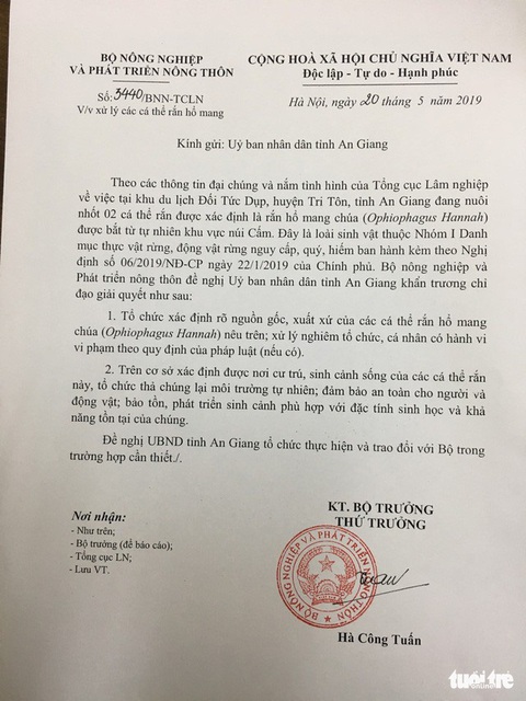 Bộ Nông nghiệp đề nghị thả cặp rắn hổ mây khủng về môi trường tự nhiên - Ảnh 1. Bộ Nông nghiệp đề nghị thả cặp rắn hổ mây khủng về môi trường tự nhiên - Ảnh 1.
