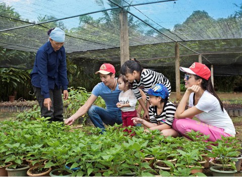 Vườn cây ăn trái 25 hecta giữa lòng Madagui - Ảnh 5. Vườn cây ăn trái 25 hecta giữa lòng Madagui - Ảnh 5.