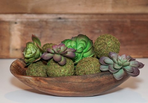 Tô điểm không gian sống với nghệ thuật trồng cây Kokedama của người Nhật - Ảnh 7. Tô điểm không gian sống với nghệ thuật trồng cây Kokedama của người Nhật - Ảnh 7.