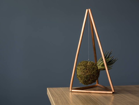Tô điểm không gian sống với nghệ thuật trồng cây Kokedama của người Nhật - Ảnh 8. Tô điểm không gian sống với nghệ thuật trồng cây Kokedama của người Nhật - Ảnh 8.