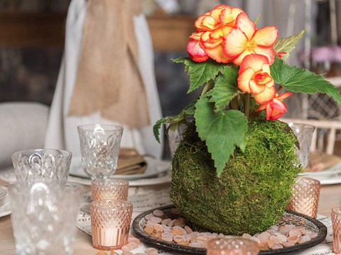 Tô điểm không gian sống với nghệ thuật trồng cây Kokedama của người Nhật - Ảnh 10. Tô điểm không gian sống với nghệ thuật trồng cây Kokedama của người Nhật - Ảnh 10.