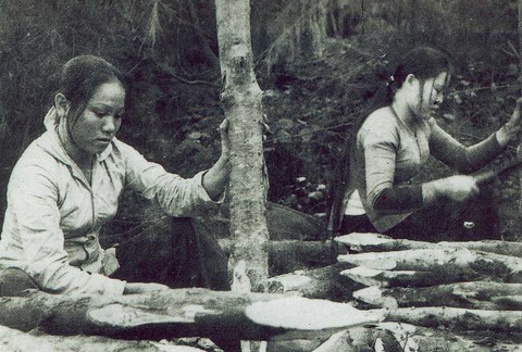 60 năm đường Trường Sơn - Kỳ 3: Tuổi 20 ngã xuống - Ảnh 1. 60 năm đường Trường Sơn - Kỳ 3: Tuổi 20 ngã xuống - Ảnh 1.