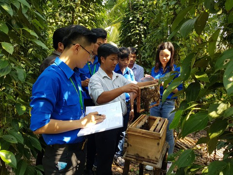 Trường Đại Học Kiên Giang - 5 năm xây dựng, phát triển khẳng định thương hiệu - Ảnh 1. Trường Đại Học Kiên Giang - 5 năm xây dựng, phát triển khẳng định thương hiệu - Ảnh 1.