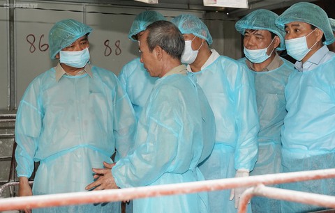 Thủ tướng giao hai bộ tìm cách tạo văcxin tả heo châu Phi - Ảnh 1. Thủ tướng giao hai bộ tìm cách tạo văcxin tả heo châu Phi - Ảnh 1.
