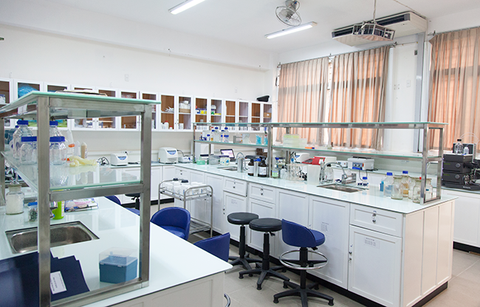 Nhà khoa học ĐH Duy Tân giành giải nhì về điều trị y khoa lâm sàng - Ảnh 2. Nhà khoa học ĐH Duy Tân giành giải nhì về điều trị y khoa lâm sàng - Ảnh 2.