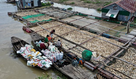 Ngư dân làng bè La Ngà thất thần bán tháo cả ngàn tấn cá lăng, leo... 2.000 đồng/kg - Ảnh 1. Ngư dân làng bè La Ngà thất thần bán tháo cả ngàn tấn cá lăng, leo... 2.000 đồng/kg - Ảnh 1.