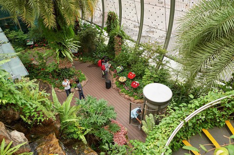 Singahura - Vui hè Singapore: Trải nghiệm mùa hè cho cả nhà - Ảnh 3. Singahura - Vui hè Singapore: Trải nghiệm mùa hè cho cả nhà - Ảnh 3.