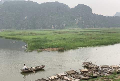Nhiều loài quý hiếm ở Việt Nam bị đe dọa tuyệt chủng - Ảnh 2. Nhiều loài quý hiếm ở Việt Nam bị đe dọa tuyệt chủng - Ảnh 2.