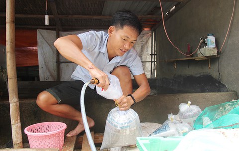Những người trẻ của đảo Lý Sơn - Kỳ 1: Chàng kỹ sư đi bán cá - Ảnh 2. Những người trẻ của đảo Lý Sơn - Kỳ 1: Chàng kỹ sư đi bán cá - Ảnh 2.