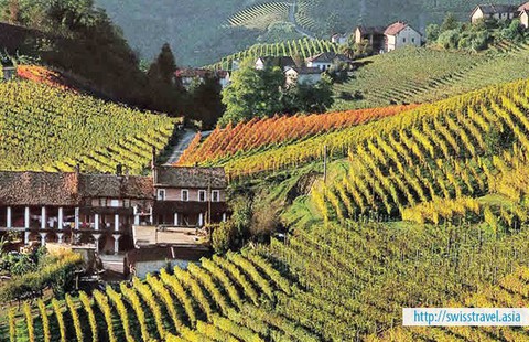 Du lịch Thụy Sĩ, Ý - tour văn hóa và đặc sản ẩm thực - Ảnh 5. Du lịch Thụy Sĩ, Ý - tour văn hóa và đặc sản ẩm thực - Ảnh 5.