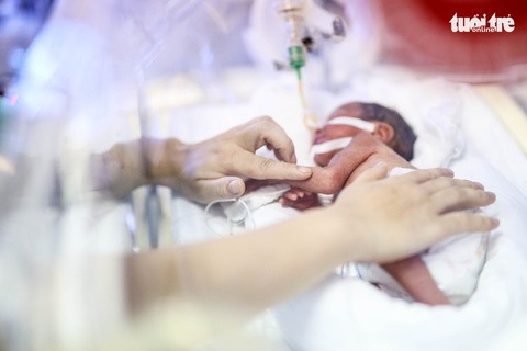 Mong Bình An mãi được bình an - Ảnh 7. Mong Bình An mãi được bình an - Ảnh 7.