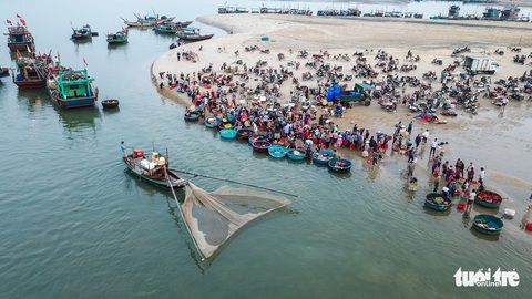 Chợ cá họp trước bình minh nơi làng chài Cửa Nhượng - Ảnh 12. Chợ cá họp trước bình minh nơi làng chài Cửa Nhượng - Ảnh 12.