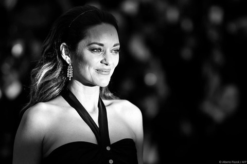 Những khoảnh khắc không thể nào quên làm nên Cannes 2019 - Ảnh 12. Những khoảnh khắc không thể nào quên làm nên Cannes 2019 - Ảnh 12.