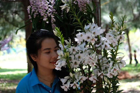 Lan khoe sắc quý phái ở Nha Trang - Ảnh 17. Lan khoe sắc quý phái ở Nha Trang - Ảnh 17.