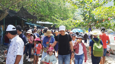 Phát triển du lịch Cù Lao Chàm bền vững - Ảnh 1. Phát triển du lịch Cù Lao Chàm bền vững - Ảnh 1.