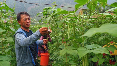 Trở lại tam giác vàng Lóng Luông: Cuộc chiến một mất một còn - Ảnh 1. Trở lại tam giác vàng Lóng Luông: Cuộc chiến một mất một còn - Ảnh 1.