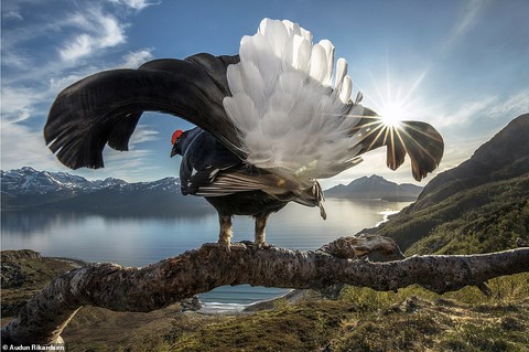 Ảnh thiên nhiên tuyệt đẹp từ Natural World Photography - Ảnh 2. Ảnh thiên nhiên tuyệt đẹp từ Natural World Photography - Ảnh 2.