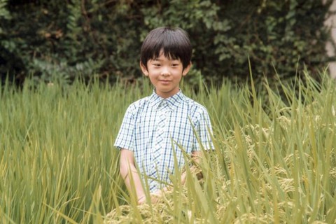 Những vụ giết người hiếm hoi làm rúng động Nhật Bản - Ảnh 2. Những vụ giết người hiếm hoi làm rúng động Nhật Bản - Ảnh 2.