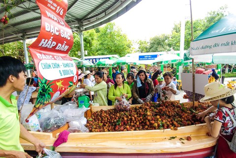 Túi cói, đồ dùng thân thiện môi trường sẽ xuất hiện tại Lễ hội trái cây Nam Bộ 2019 - Ảnh 1. Túi cói, đồ dùng thân thiện môi trường sẽ xuất hiện tại Lễ hội trái cây Nam Bộ 2019 - Ảnh 1.