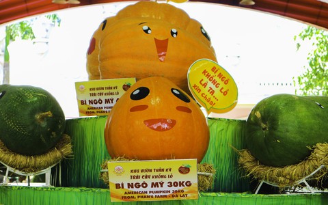 Lễ hội trái cây lần thứ 15 với chuỗi hoạt động đậm chất Nam Bộ - Ảnh 5. Lễ hội trái cây lần thứ 15 với chuỗi hoạt động đậm chất Nam Bộ - Ảnh 5.