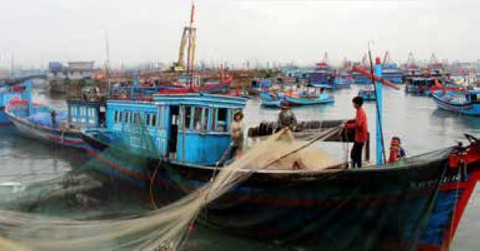 Bảo vệ nguồn lợi thủy sản là bảo vệ ngư dân - Ảnh 1. Bảo vệ nguồn lợi thủy sản là bảo vệ ngư dân - Ảnh 1.