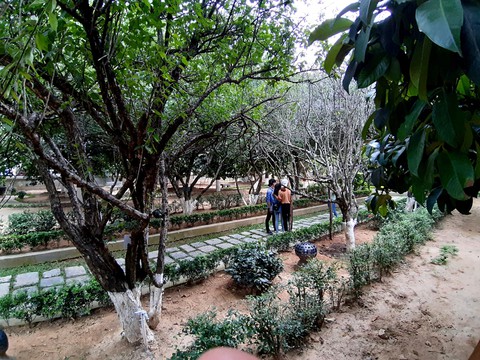 Thăm ngôi nhà vườn đặc sắc nhất xứ Huế - Ảnh 8. Thăm ngôi nhà vườn đặc sắc nhất xứ Huế - Ảnh 8.