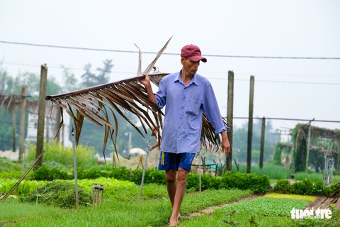 Đứng giữa làng rau Trà Quế, thấy cuộc đời luôn là sớm mai - Ảnh 5. Đứng giữa làng rau Trà Quế, thấy cuộc đời luôn là sớm mai - Ảnh 5.