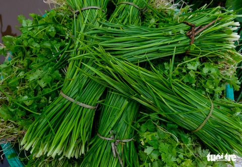 Đứng giữa làng rau Trà Quế, thấy cuộc đời luôn là sớm mai - Ảnh 8. Đứng giữa làng rau Trà Quế, thấy cuộc đời luôn là sớm mai - Ảnh 8.
