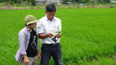 Phát động cuộc thi viết Noi theo gương Bác Hồ - Ảnh 1. Phát động cuộc thi viết Noi theo gương Bác Hồ - Ảnh 1.