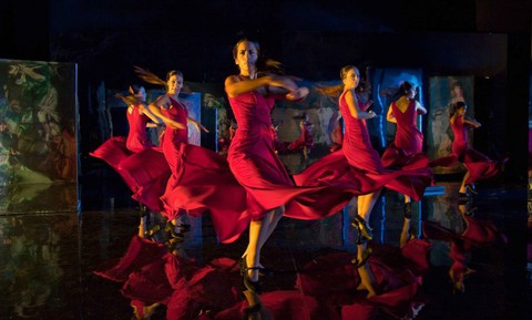 Ăn ngủ cùng Liên hoan phim tài liệu châu Âu - Việt Nam - Ảnh 5. Ăn ngủ cùng Liên hoan phim tài liệu châu Âu - Việt Nam - Ảnh 5.