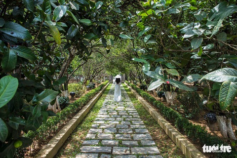 Thăm ngôi nhà vườn đặc sắc nhất xứ Huế - Ảnh 3. Thăm ngôi nhà vườn đặc sắc nhất xứ Huế - Ảnh 3.