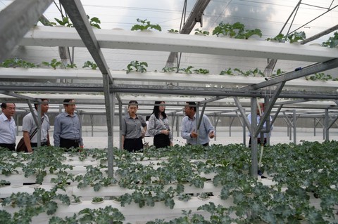 Đoàn nhà báo TP.HCM tham quan Công viên phần mềm Quang Trung - Ảnh 3. Đoàn nhà báo TP.HCM tham quan Công viên phần mềm Quang Trung - Ảnh 3.