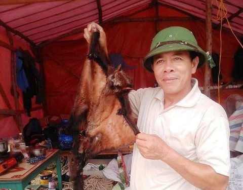 Hà Tĩnh xác minh vụ làm thịt chồn bay, khoe Facebook - Ảnh 2. Hà Tĩnh xác minh vụ làm thịt chồn bay, khoe Facebook - Ảnh 2.