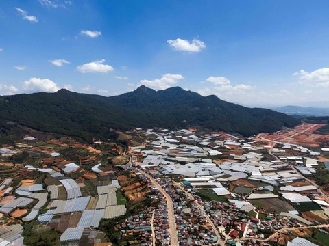 Gọt trọc núi thiêng Langbiang - Ảnh 7. Gọt trọc núi thiêng Langbiang - Ảnh 7.