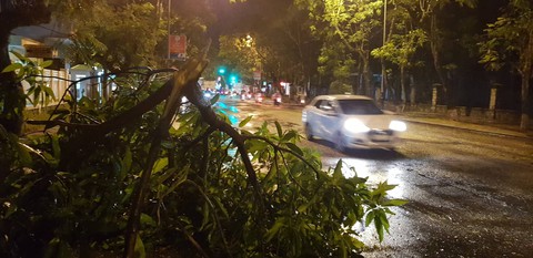 Huế đón mưa đêm giải nhiệt, cây cối đổ ngã giữa đường - Ảnh 2. Huế đón mưa đêm giải nhiệt, cây cối đổ ngã giữa đường - Ảnh 2.