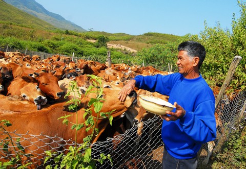 Trở lại miền biên viễn cực Tây - Ảnh 3. Trở lại miền biên viễn cực Tây - Ảnh 3.