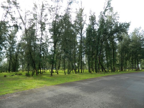 Mũi Si - Cửa Tùng: Nơi trốn nắng, tránh nóng cực kỳ lý tưởng - Ảnh 2. Mũi Si - Cửa Tùng: Nơi trốn nắng, tránh nóng cực kỳ lý tưởng - Ảnh 2.