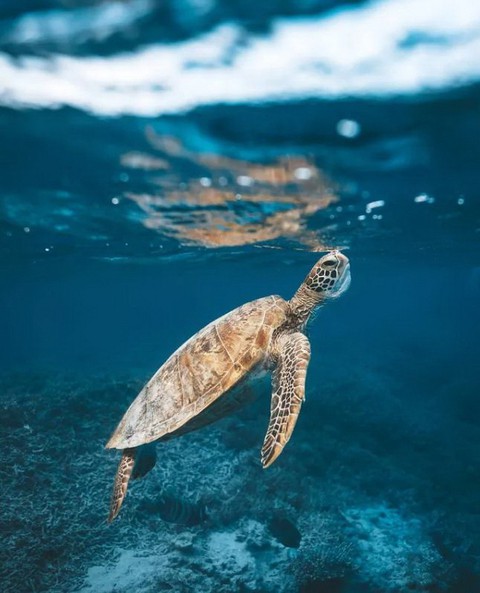 Nghẹt thở ảnh đẹp thiên nhiên từ cuộc thi National Geographic Travel - Ảnh 8. Nghẹt thở ảnh đẹp thiên nhiên từ cuộc thi National Geographic Travel - Ảnh 8.