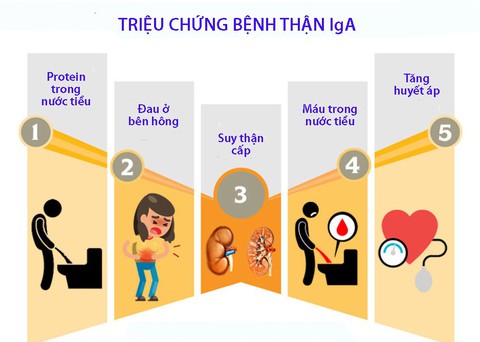 Bệnh thận IgA - Ảnh 1. Bệnh thận IgA - Ảnh 1.