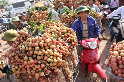Tái diễn tắc đường mùa vải thiều Lục Ngạn - Ảnh 3. Tái diễn tắc đường mùa vải thiều Lục Ngạn - Ảnh 3.