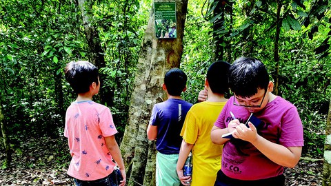 Hè cho con vô rừng giải ngố, học kỹ năng sinh tồn - Ảnh 4. Hè cho con vô rừng giải ngố, học kỹ năng sinh tồn - Ảnh 4.