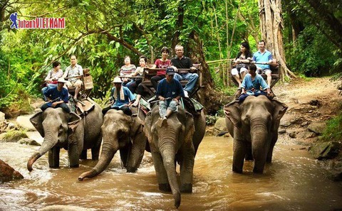 Vi vu Chiang Mai 4 ngày giá chỉ từ 4,9 triệu đồng - Ảnh 3. Vi vu Chiang Mai 4 ngày giá chỉ từ 4,9 triệu đồng - Ảnh 3.