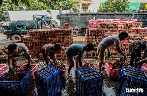 Niềm vui vải thiều giá cao kỷ lục - Ảnh 11. Niềm vui vải thiều giá cao kỷ lục - Ảnh 11.