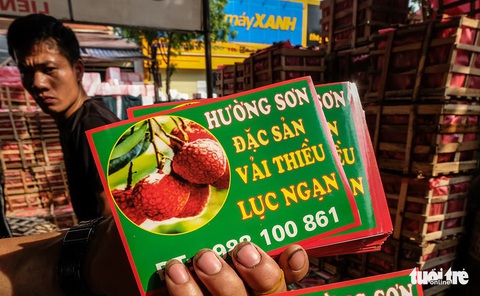 Niềm vui vải thiều giá cao kỷ lục - Ảnh 12. Niềm vui vải thiều giá cao kỷ lục - Ảnh 12.