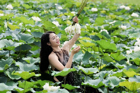 Từ chuyện Ngọc Trinh đến chuyện... ao sen, làm sao thoát phản cảm? - Ảnh 1. Từ chuyện Ngọc Trinh đến chuyện... ao sen, làm sao thoát phản cảm? - Ảnh 1.