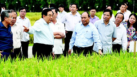 Hôm nay, Thủ tướng chủ trì hội nghị giải pháp phát triển ĐBSCL - Ảnh 3. Hôm nay, Thủ tướng chủ trì hội nghị giải pháp phát triển ĐBSCL - Ảnh 3.