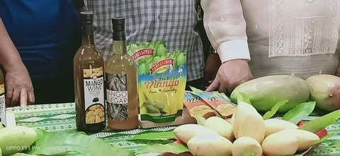 Nông dân Philippines trúng mùa xoài, bán rẻ như cho - Ảnh 3. Nông dân Philippines trúng mùa xoài, bán rẻ như cho - Ảnh 3.